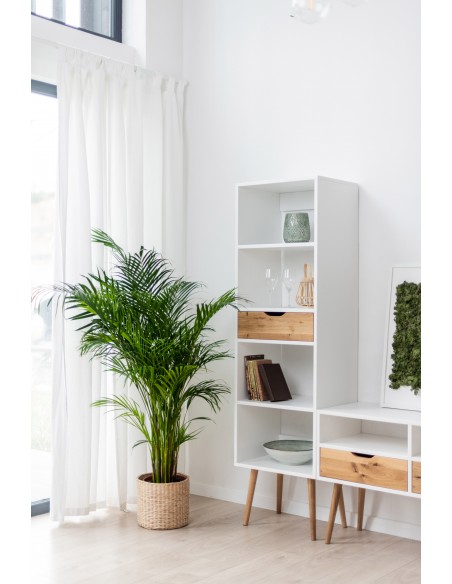 Scandinavian-style bookcase BOX - 3