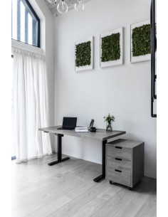 Alva Schrank, Buche - 1 2