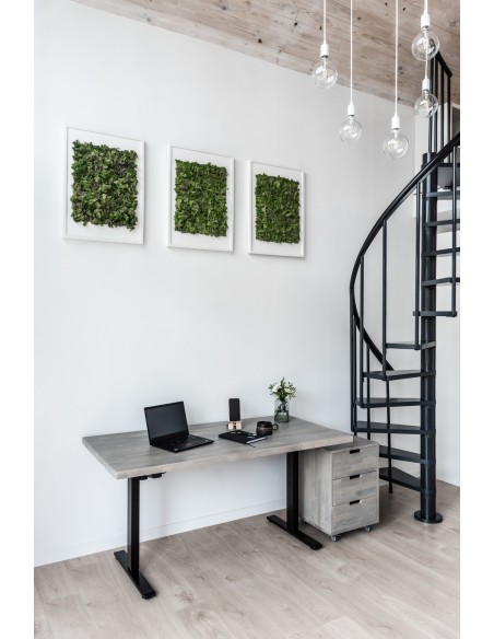 Alva Schrank, Buche - 4