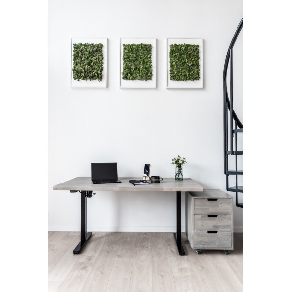 Alva Schrank, Buche - 5