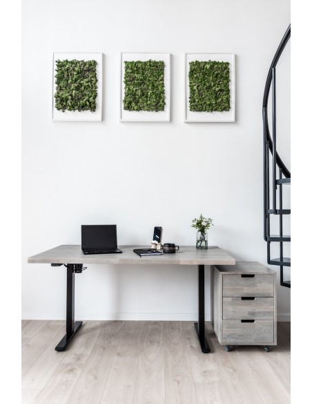 Alva Schrank, Buche - 5