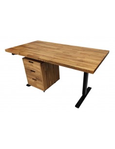 Alva Schrank, Eiche - 1 2