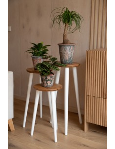 Oak flower stand - 1 2