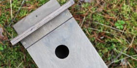 Nesting boxes for birds. Together with preschoolers we take care of our winged friends